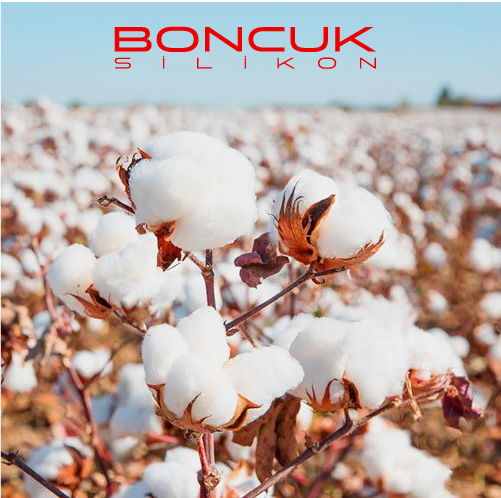 bonculsilikon-10